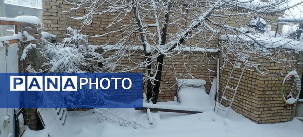 بارش اولین برف در بهمن ماه در شهر بار 