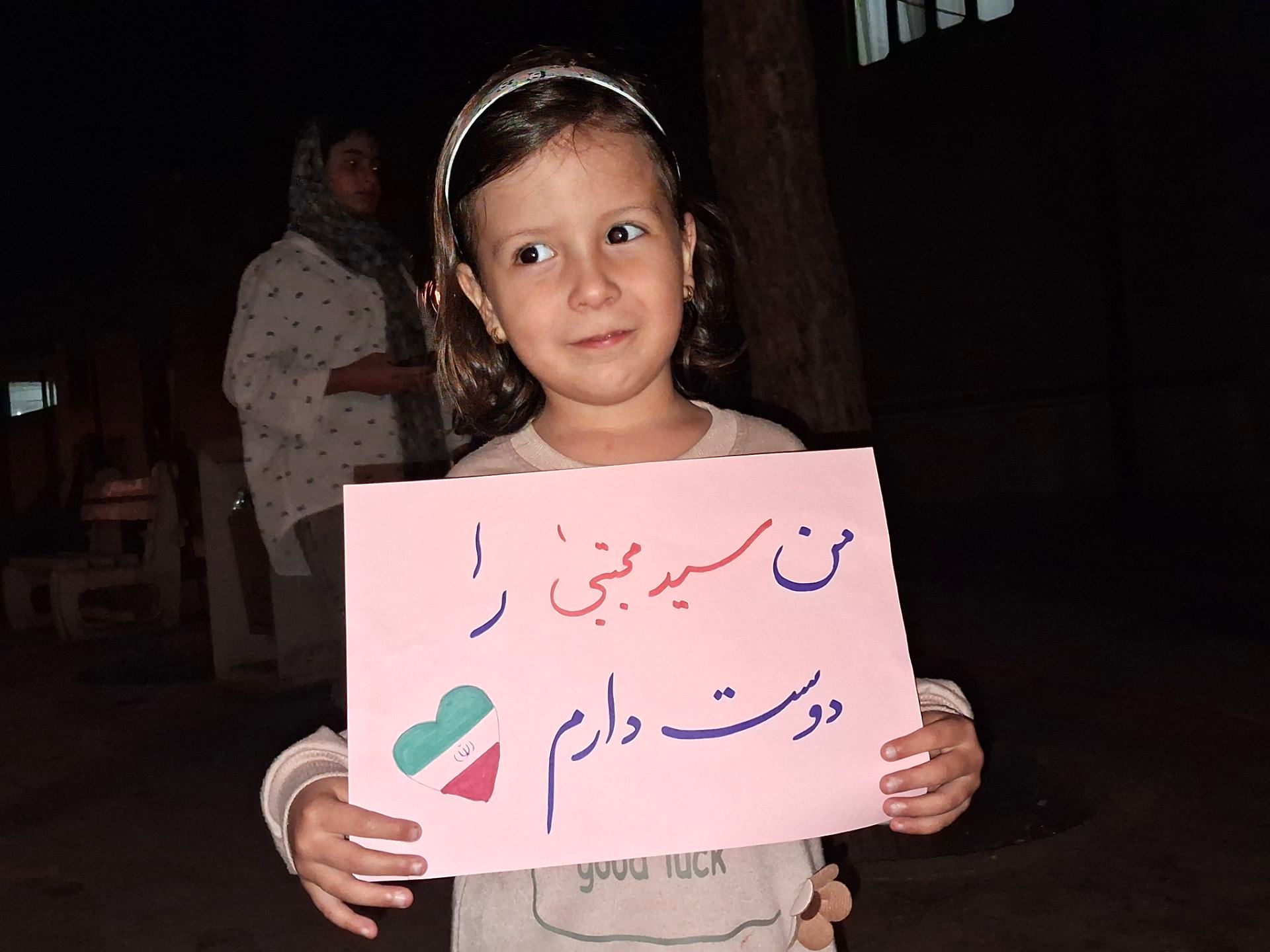 لشکری از دلدادگان این خاک 