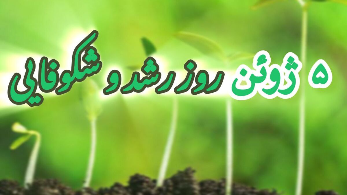 روز جهانی طبیعت؛ روز رشد و شکوفایی