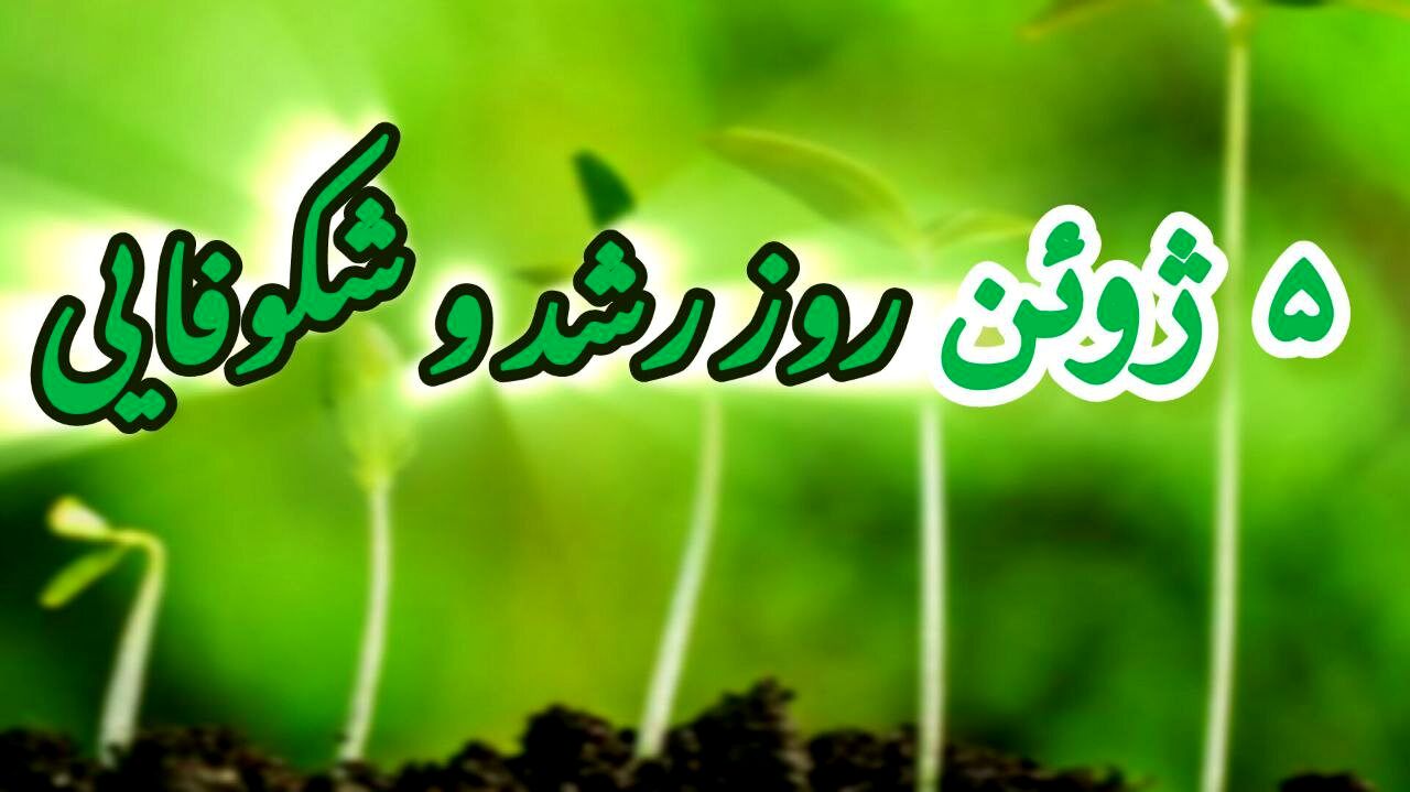 روز جهانی طبیعت؛ روز رشد و شکوفایی