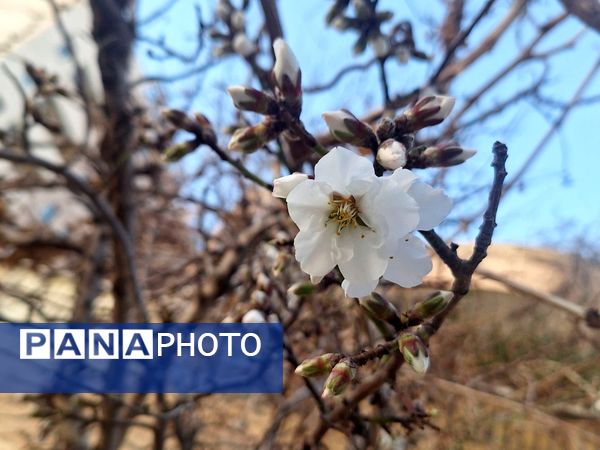 طبیعت شهر سودجان در بهار