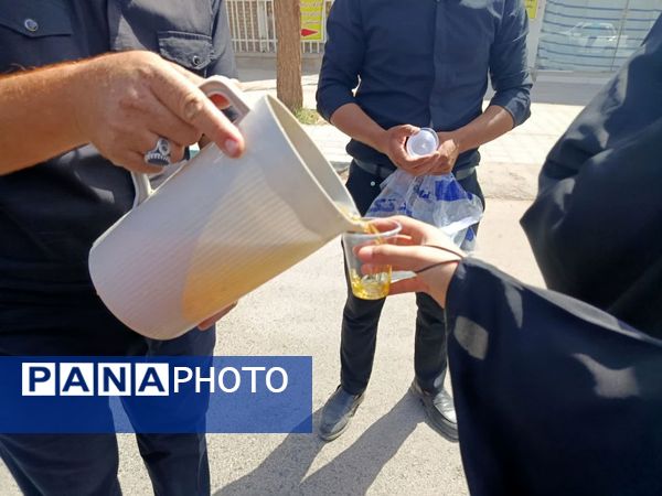 مراسم تشییع نمادین پیکر امام رضا (ع) در کاشمر