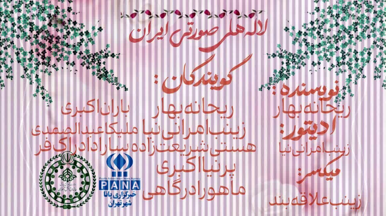 لاله های صورتی ایران
