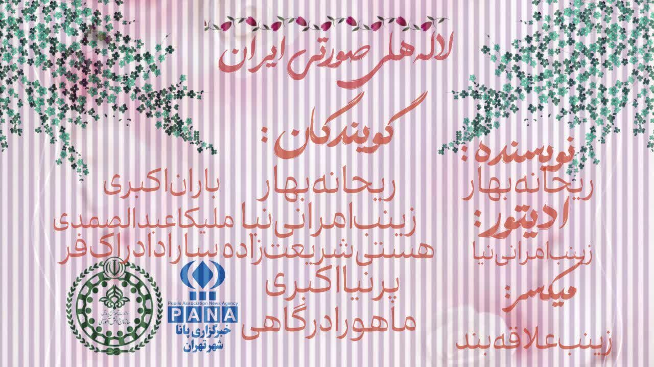لاله های صورتی ایران