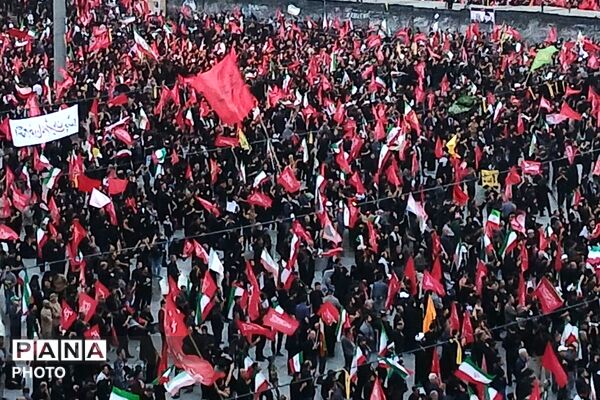 من خود به چشم خویشتن دیدم که جانم می رود ...