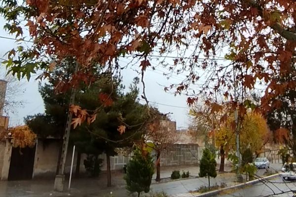 جلوه هایی از باران پاییزی در کاشمر