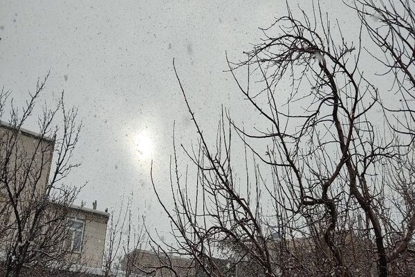 شروع اولین بارش برف زمستانی در بهمن ماه ۱۴۰۳ در شهر زیبای با‌ر