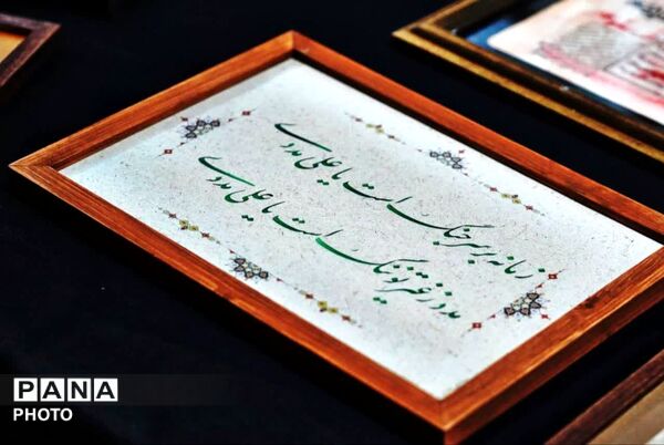 پژواک همبستگی در حریم دانش