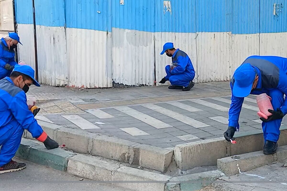 استفاده از «نانوپودر غیرسمی» برای مبارزه با موش‌های پایتخت