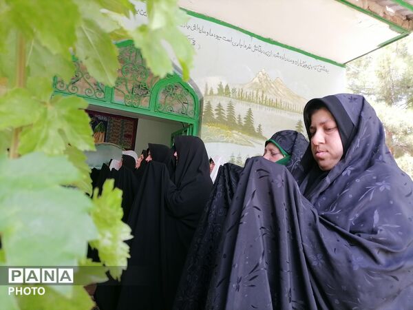 حضور دوستداران اهل بیت در رحلت پیامبر اکرم و شهادت امام حسن مجتبی