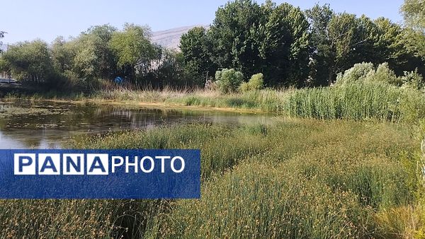 چشه برم، چشم‌انداز زیبایی‌ها در دل شهرستان لردگان