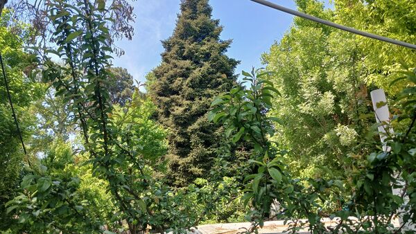 بازدید دانش‌آموزان مدرسه ایران از فضای سبز شهرداری ملارد به مناسبت روز زمین پاک