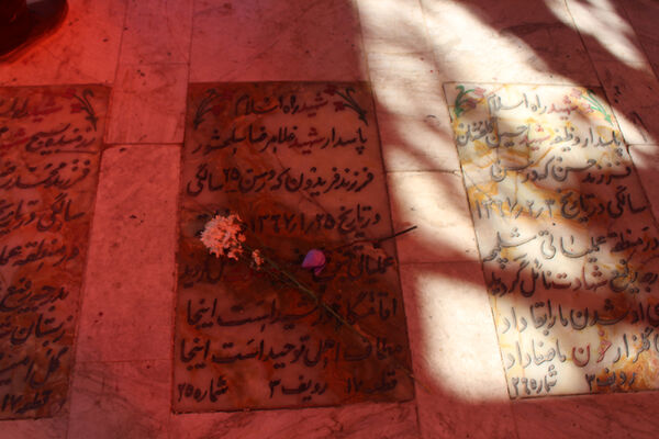 تجدید میثاق جودوکاران قم با شهدا