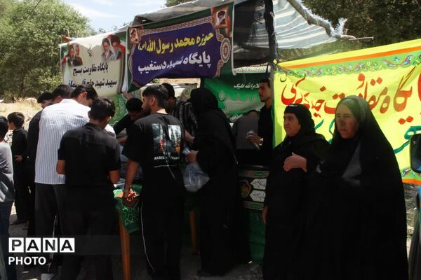 پیاده‌روی اربعین در دنا؛ از امامزاده سید محمد (ع) تا امامزادگان کریک