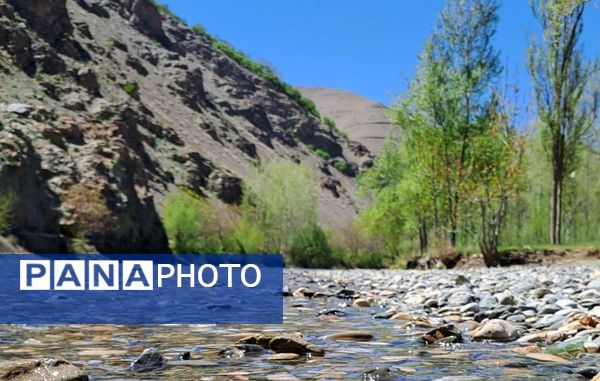 فصل بهار، فرصتی برای سر زندگی روح