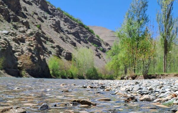 فصل بهار، فرصتی برای سر زندگی روح
