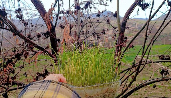 دومین روز بهاری منطقه میانکوه 