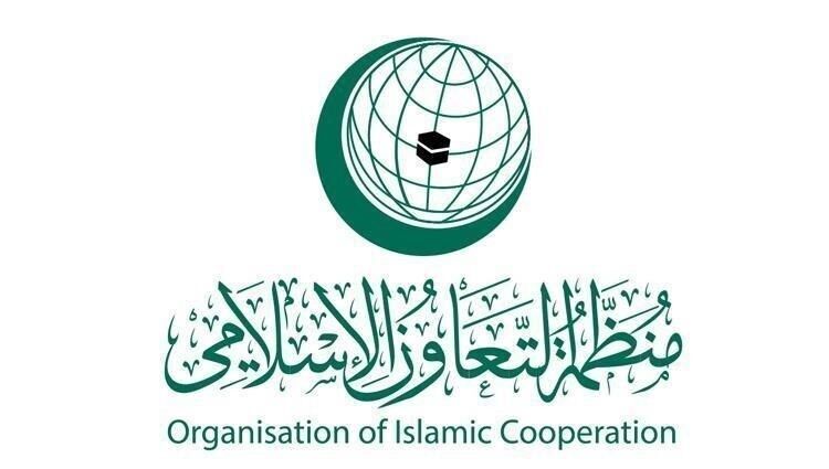 استفاده آمریکا از حق وتو علیه عضویت کامل فلسطین، نقض منشور سازمان ملل است