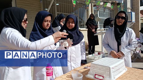 آزمایشگاه قلب تپنده یادگیری علوم