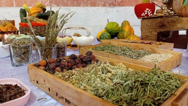  دبیرستان جرجانی میزبان شور و هنر دانش‌آموزان الیگودرز شد