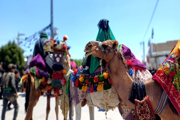 دمق به رنگ عاشورا