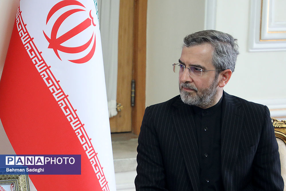 شرکت سرپرست وزارت امور خارجه جمهوری اسلامی ایران در نشست وزیران امور خارجه بریکس