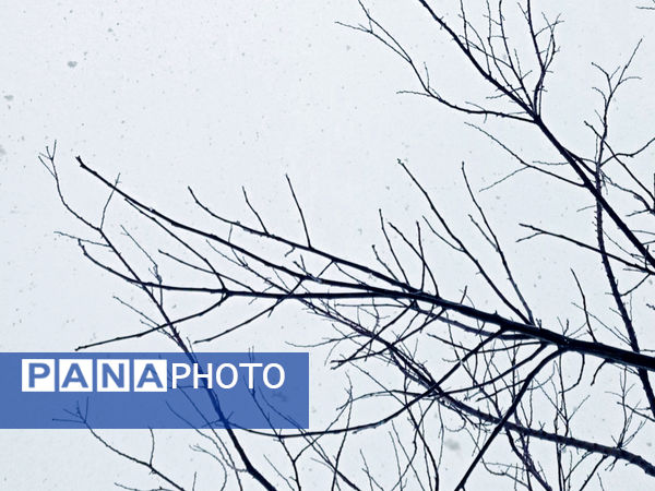 یک روز بارانی در لردگان 