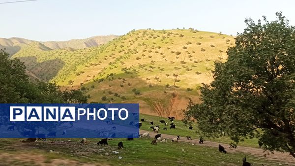 مسیر قارون تا قلعه مدرسه در واپسین لحظه‌های بهار