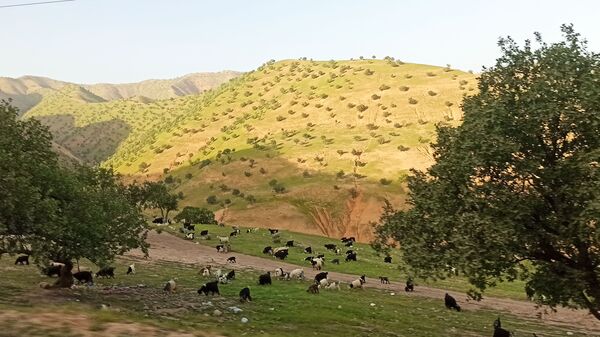 مسیر قارون تا قلعه مدرسه در واپسین لحظه‌های بهار