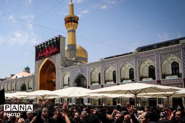 مشهدالرضا(ع) در ماتم کربلا؛ روایت اشک و ارادت در حرم مطهر رضوی