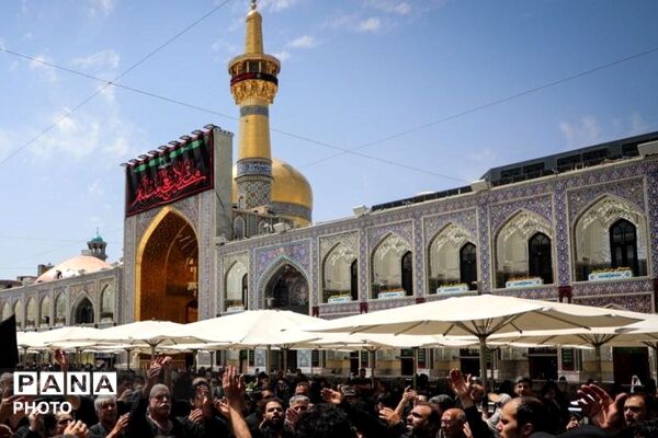 مشهدالرضا(ع) در ماتم کربلا؛ روایت اشک و ارادت در حرم مطهر رضوی