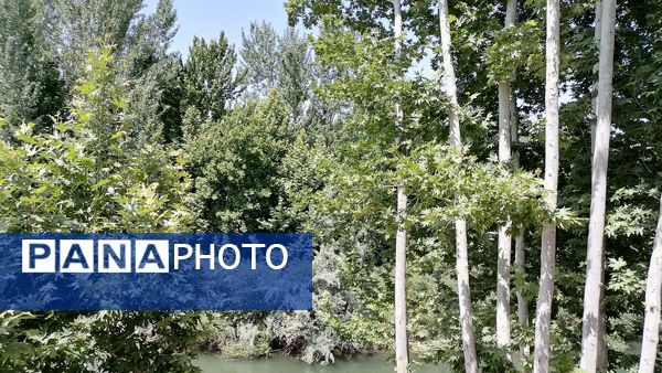 باغ بهادران؛ بهشت کوچکی در اصفهان