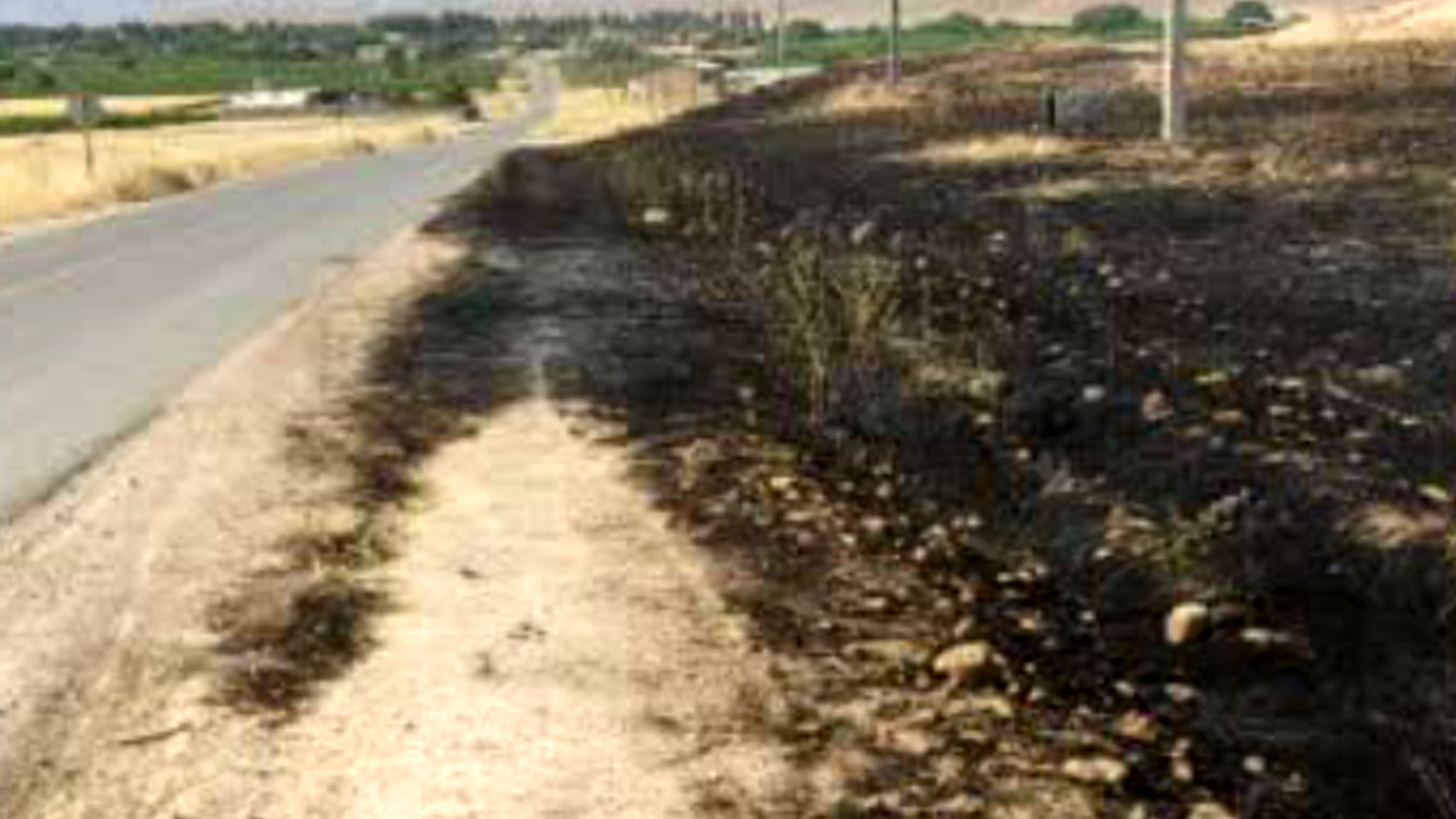 عابر بی احتیاط اراضی کشاورزی بیضا را به آتش کشید