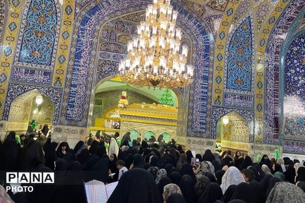 سفر به دیار مهربانی