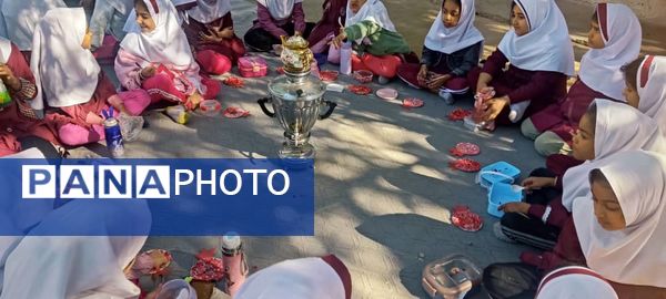 فرهنگ و شادی در جشن یلدای دانش‌آموزان دبستان مولوی فین