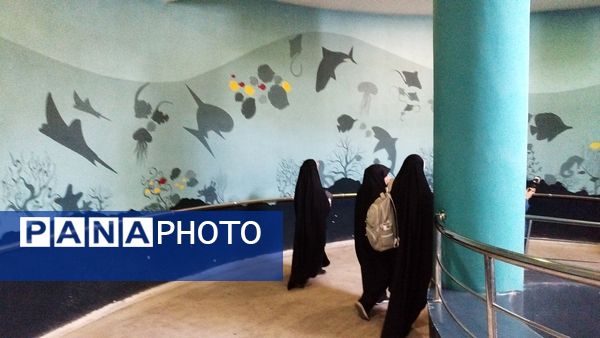 اردوی علمی تفریحی خبرنگاران پانای استان اصفهان