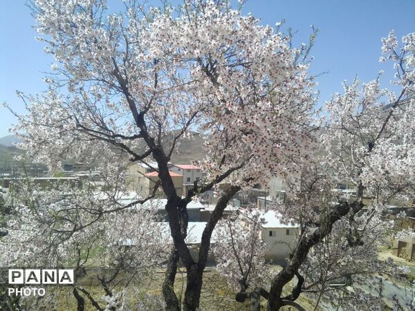 وانان، تابلوی بی‌بدیل خالق، شکوه رنگ‌ها و عظمت کوهستان