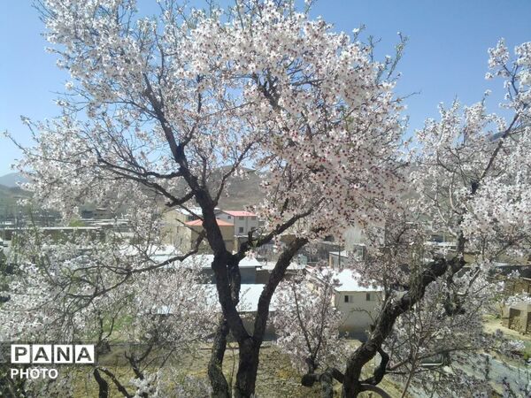 وانان، تابلوی بی‌بدیل خالق، شکوه رنگ‌ها و عظمت کوهستان