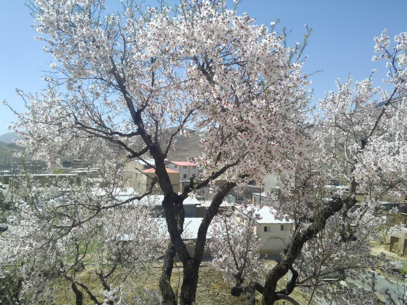 وانان، تابلوی بی‌بدیل خالق، شکوه رنگ‌ها و عظمت کوهستان