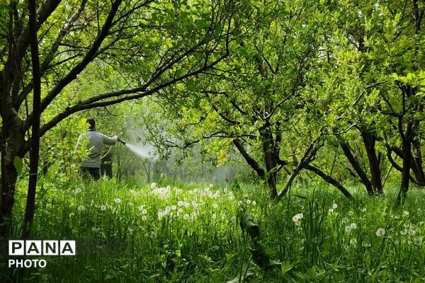 آلبوم تصویری از طبیعت زیبای شهر بار در اردیبهشت‌ماه  ۱۴۰۵ـ۲