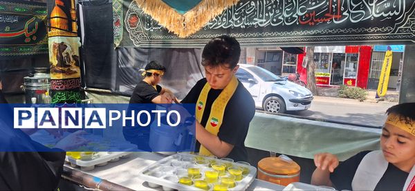 پذیرایی موکب سازمان دانش‌آموزی شهرستان اسفراین از عزاداران امام حسین (ع)