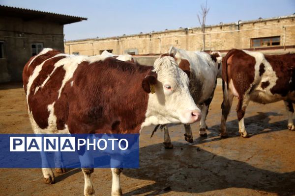 سفر یک روزه استاندار به شهرستان سملقان