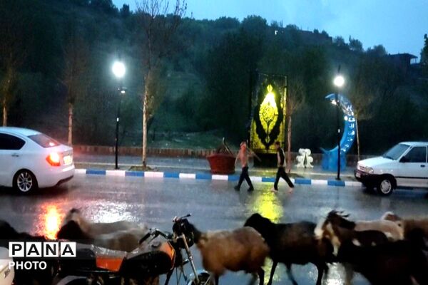 حال و هوای شهر بار بعد از بارش زیبای باران 