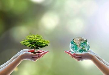 آموزش دوستی با محیط زیست به شیوه‌ عملی در مدرسه‌ای در نظرکهریزی