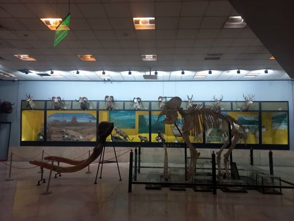 بازدید دانش آموز خبرنگاران پانا از موزه ی تنوع زیستی پارک پردیسان تهران