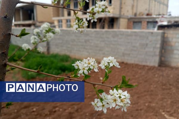 بهار، آغاز دوباره‌ی زندگی طبیعت 