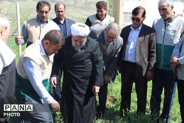 آیین درختکاری در سملقان