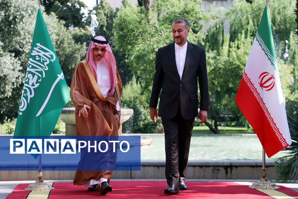 دیپلمات شهید