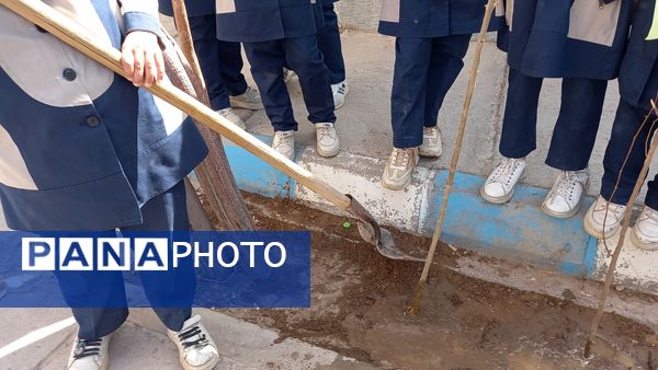 جشن نیکوکاری و روز درختکاری در گناباد