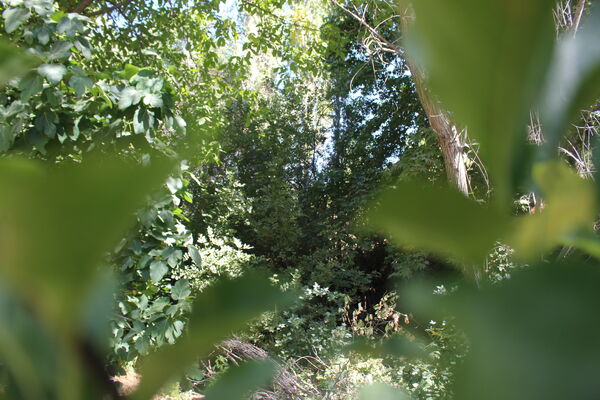 روستای کریک، ماسوله جنوب